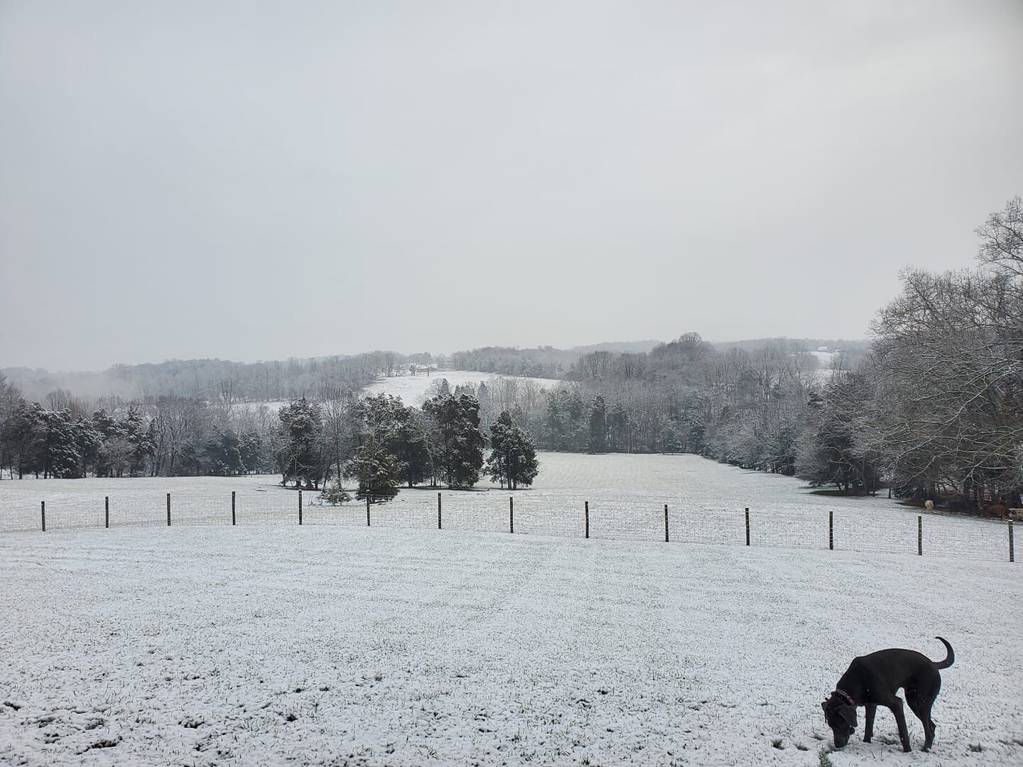 Snow Day in Blountville